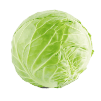 Cabbage Leaves