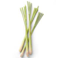 Lemongrass