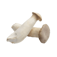 Oyster Mushrooms