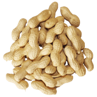 Peanuts