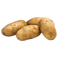 Russet Potato