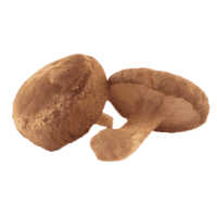 Shiitake Mushrooms