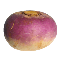 Turnips