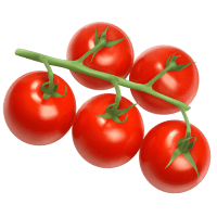 Vine Tomatoes