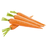 carrot