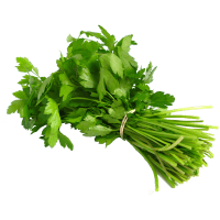 coriander
