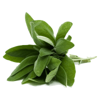 sage