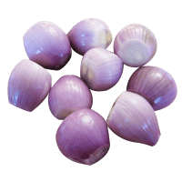 shallots